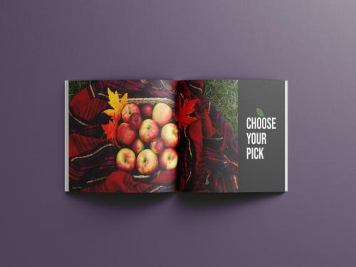 Free Book Mockup 6